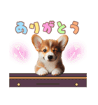 日常で使えるコーギーの子犬スタンプ（個別スタンプ：4）