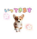 日常で使えるコーギーの子犬スタンプ（個別スタンプ：8）