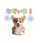 日常で使えるコーギーの子犬スタンプ（個別スタンプ：9）