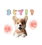 日常で使えるコーギーの子犬スタンプ（個別スタンプ：14）