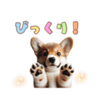 日常で使えるコーギーの子犬スタンプ（個別スタンプ：19）