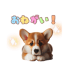 日常で使えるコーギーの子犬スタンプ（個別スタンプ：24）