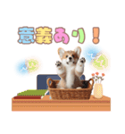 日常で使えるコーギーの子犬スタンプ（個別スタンプ：32）