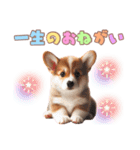 日常で使えるコーギーの子犬スタンプ（個別スタンプ：34）