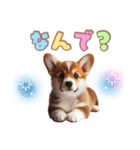 日常で使えるコーギーの子犬スタンプ（個別スタンプ：38）