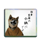 サムライ柴犬武士語スタンプ（個別スタンプ：1）