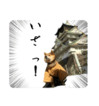 サムライ柴犬武士語スタンプ（個別スタンプ：2）