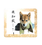 サムライ柴犬武士語スタンプ（個別スタンプ：5）