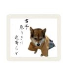 サムライ柴犬武士語スタンプ（個別スタンプ：9）