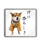 サムライ柴犬武士語スタンプ（個別スタンプ：19）