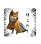 サムライ柴犬武士語スタンプ（個別スタンプ：23）