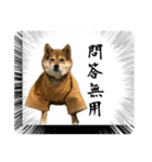 サムライ柴犬武士語スタンプ（個別スタンプ：24）