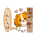 【犬の日】コーイケルが来た！（個別スタンプ：6）