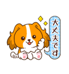 【犬の日】コーイケルが来た！（個別スタンプ：13）