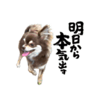 むにまる君（個別スタンプ：2）