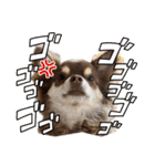 むにまる君（個別スタンプ：4）