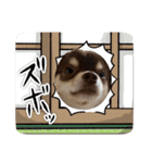 むにまる君（個別スタンプ：16）