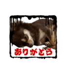 むにまる君（個別スタンプ：20）