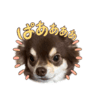 むにまる君（個別スタンプ：23）