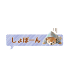 しばいぬのふきだしスタンプ☆カラフル（個別スタンプ：40）