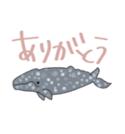 イルカ＆クジラデカ文字☆pocaママ（個別スタンプ：3）