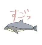 イルカ＆クジラデカ文字☆pocaママ（個別スタンプ：33）