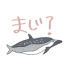 イルカ＆クジラデカ文字☆pocaママ（個別スタンプ：35）