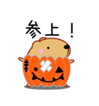 飛び出す！きゃぴばら【ハロウィン】（個別スタンプ：1）