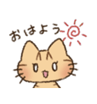 茶トラの女の子（個別スタンプ：1）