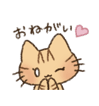 茶トラの女の子（個別スタンプ：5）
