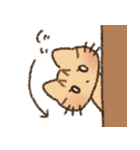茶トラの女の子（個別スタンプ：7）