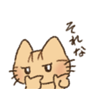 茶トラの女の子（個別スタンプ：10）