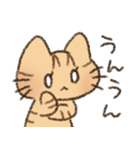茶トラの女の子（個別スタンプ：13）