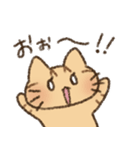 茶トラの女の子（個別スタンプ：15）