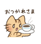 茶トラの女の子（個別スタンプ：18）