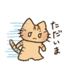 茶トラの女の子（個別スタンプ：20）