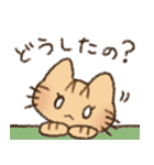 茶トラの女の子（個別スタンプ：21）