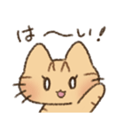 茶トラの女の子（個別スタンプ：22）