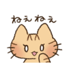 茶トラの女の子（個別スタンプ：24）