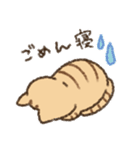 茶トラの女の子（個別スタンプ：26）