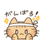 茶トラの女の子（個別スタンプ：34）