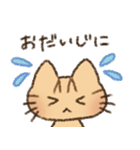 茶トラの女の子（個別スタンプ：36）