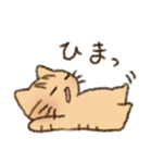 茶トラの女の子（個別スタンプ：37）