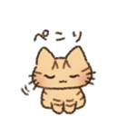 茶トラの女の子（個別スタンプ：40）