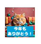 猫とクリスマスのほっこり時間（個別スタンプ：5）