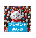 猫とクリスマスのほっこり時間（個別スタンプ：11）