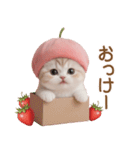 スコティッシュ猫とイチゴ 思いやり＆応援（個別スタンプ：5）