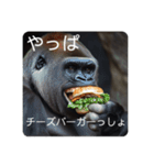 バーガーゴリラ（個別スタンプ：6）
