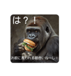 バーガーゴリラ（個別スタンプ：9）