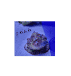 SAKANA'S2（個別スタンプ：6）